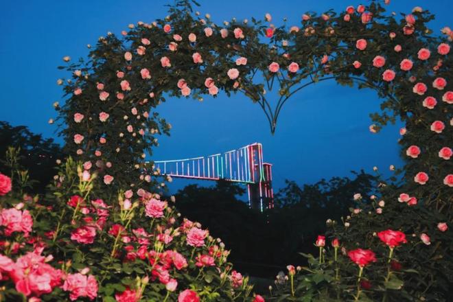 〔读城〕重构代际连接信任：漫花婚恋解密旧枷锁与新钥匙